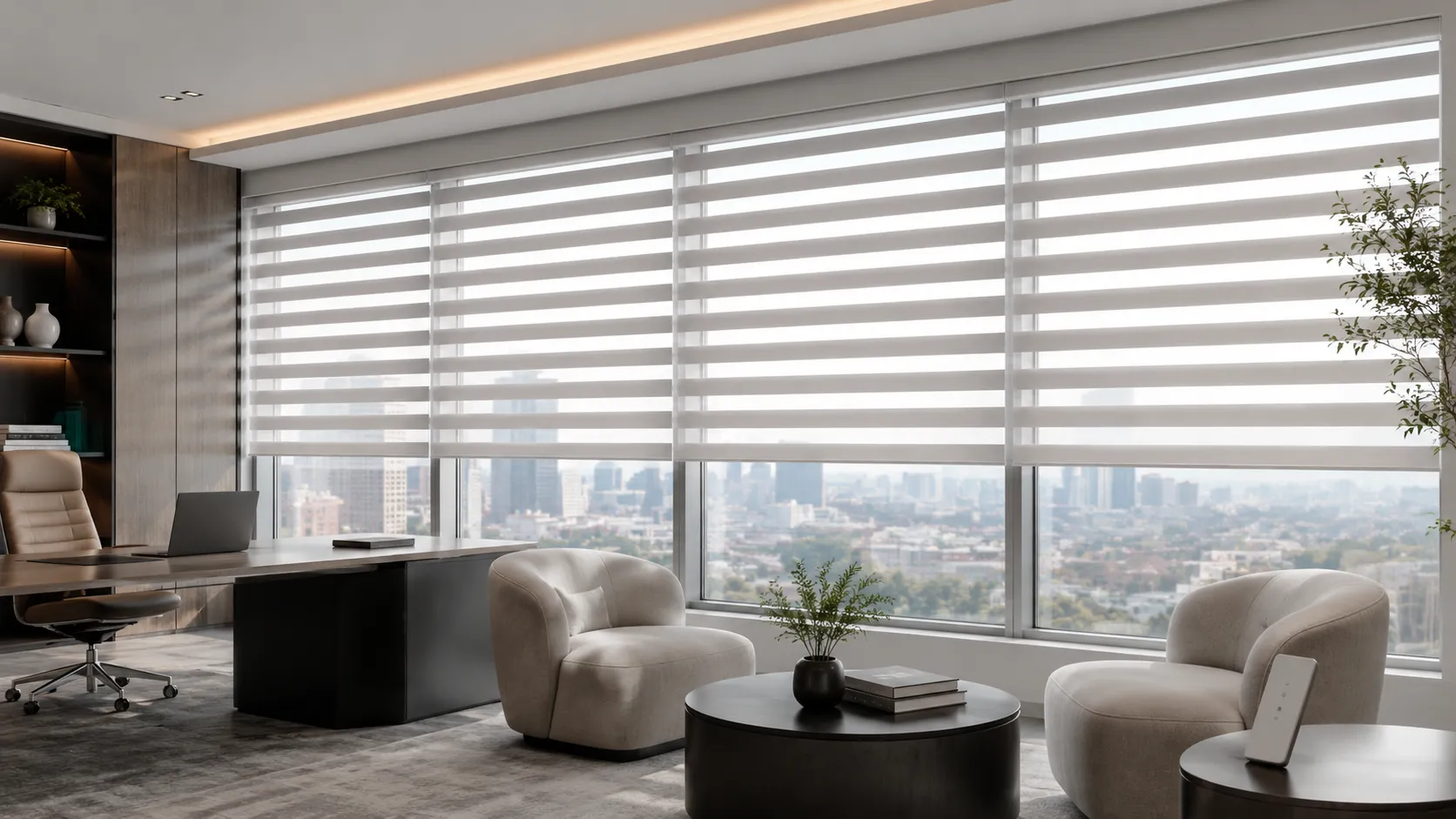 Zenith Shade Zebra Blinds(6)